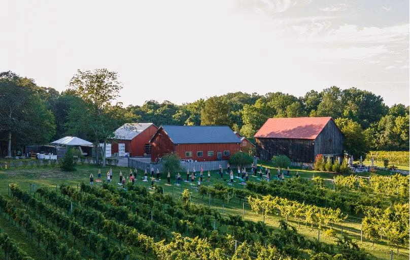 Great Frogs Winery