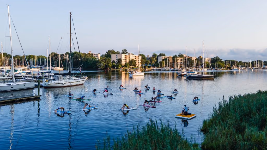 A group paddleboard session on calm marina water, sailboats moored along the docks.