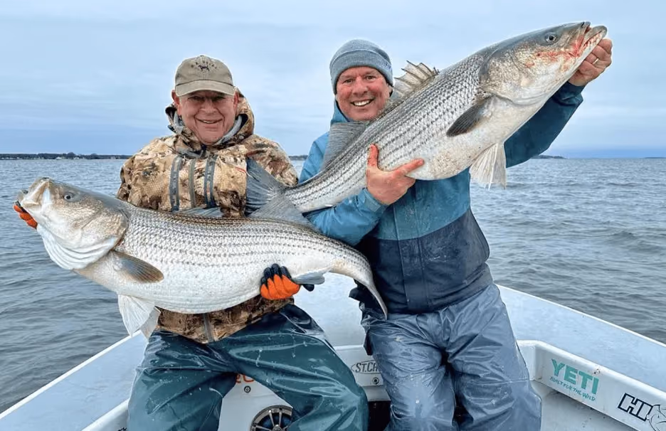 Fish with Weaver