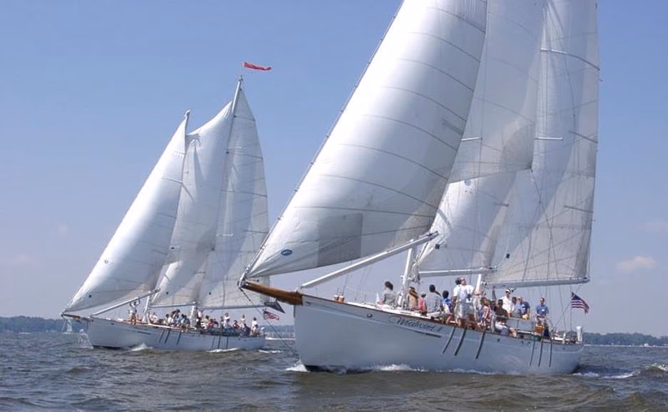Two schooners under full sail on the bay, guests lining their decks.