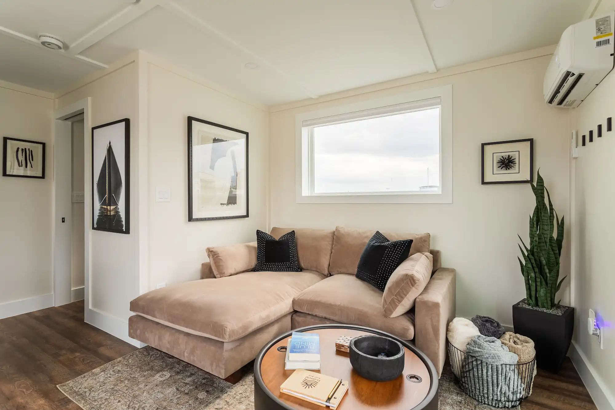 The salon, a velvet sectional under a wide window